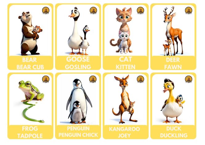 48 Printable Animal Flash Cards