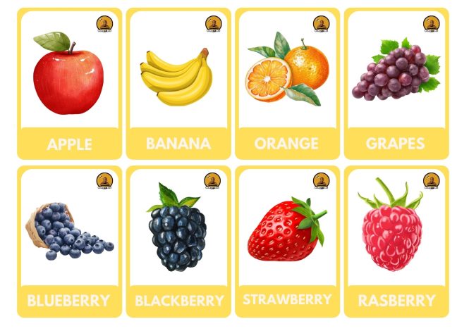 48 Printable Fruit Flash Cards